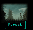 Forest Outside