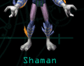 shaman